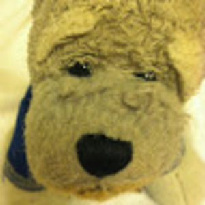 Meet your Posher, Sharon